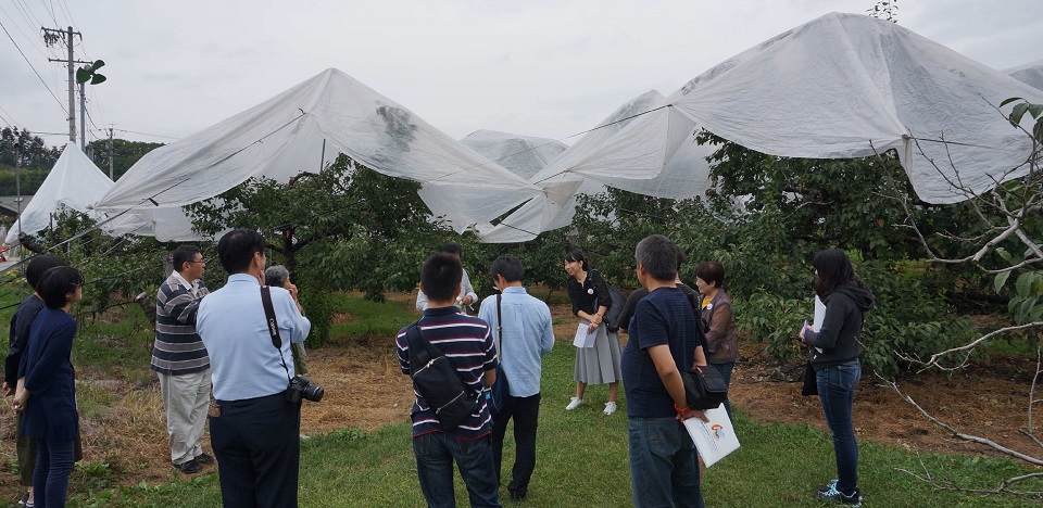 臼田見学会